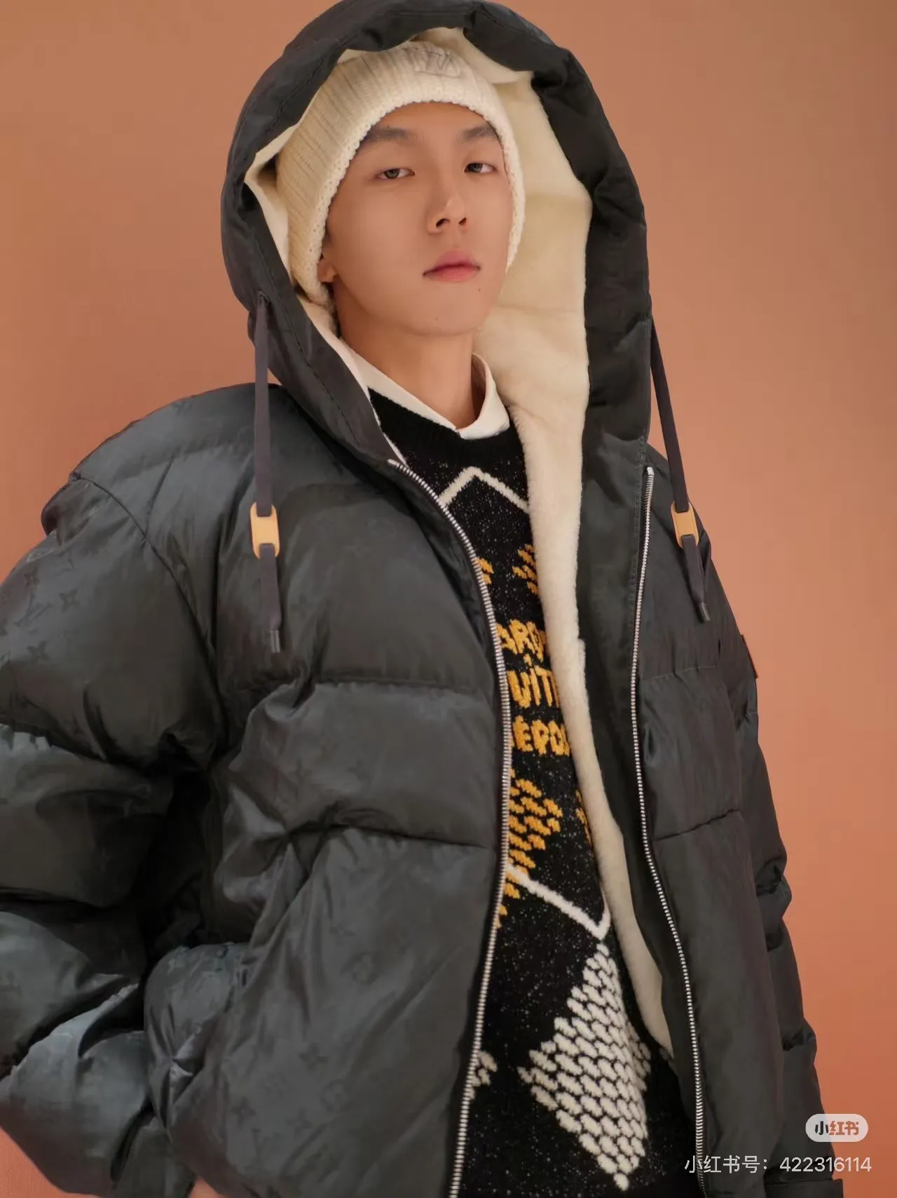 Louis Vuitton/Louis Vuitton Ski Series Full Print Jacquard Lambswool Hooded Down Cotton Jacket
